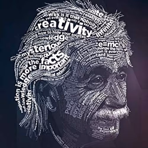 Digital Einstein (Online Chat)