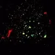 Galaxy Run