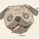 Pugzle