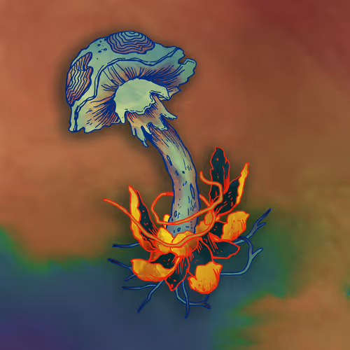 NATURIA'S SPORE 🍄