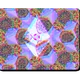84205