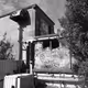654503