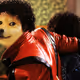 558005