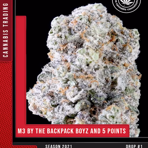 M3 BY THE BACKPACK BOYZ AND 5 POINTS CANNABIS TRADING CARD