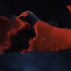 200019