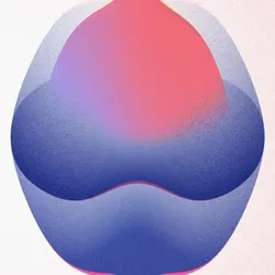 Embryo