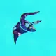 735941