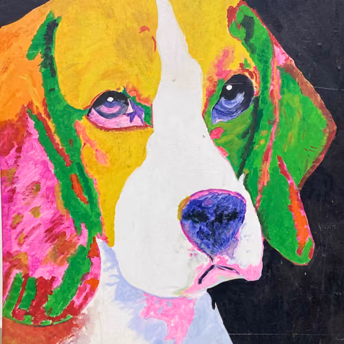 Brandy The Beagle
