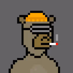 Pixel Okay Bears Collective #900