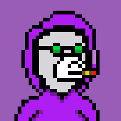 Pixel Okay Bears Collective #915