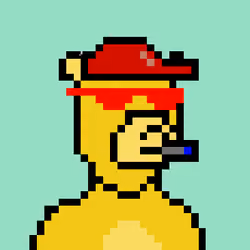 Pixel Okay Bears Collective #1236