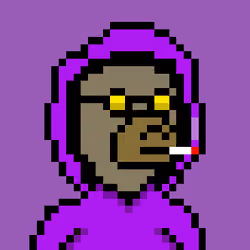 Pixel Okay Bears Collective #1048