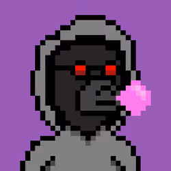 Pixel Okay Bears Collective #1260
