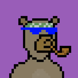 Pixel Okay Bears Collective #878