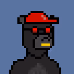 Pixel Okay Bears Collective #1113