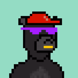 Pixel Okay Bears Collective #217