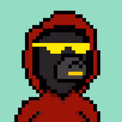 Pixel Okay Bears Collective #1800