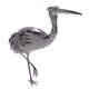 Digital Animals Models Airdrop