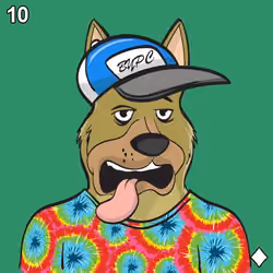 BYPC #147
