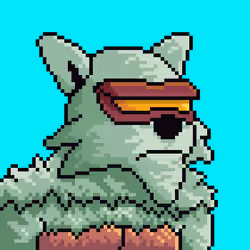 Star Wolf #2843
