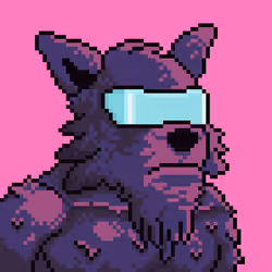 Star Wolf #1775