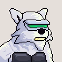 Star Wolf #1030