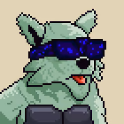 Star Wolf #1664