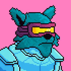 Star Wolf #384