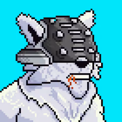 Star Wolf #1347