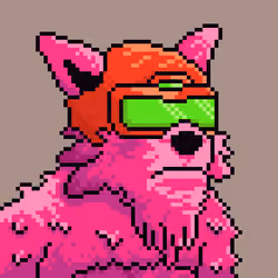 Star Wolf #8975