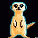 81