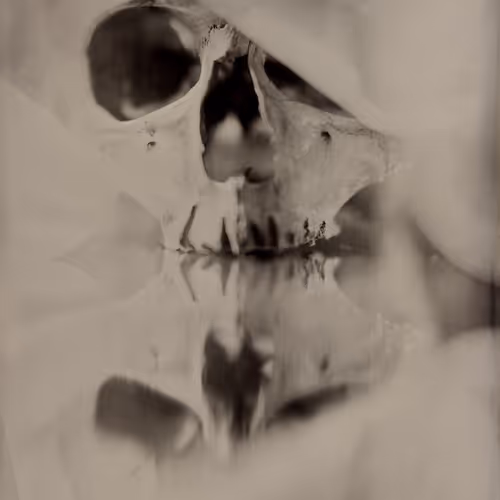 MEMENTO - EDITIONS_028