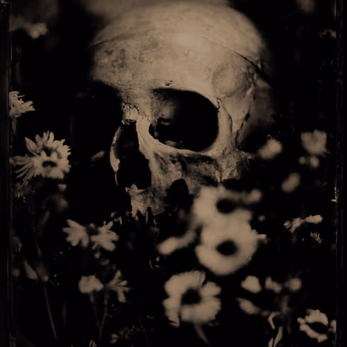 MEMENTO_ORPHEUS