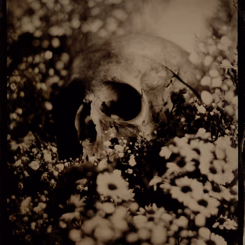 MEMENTO_EURYDICE