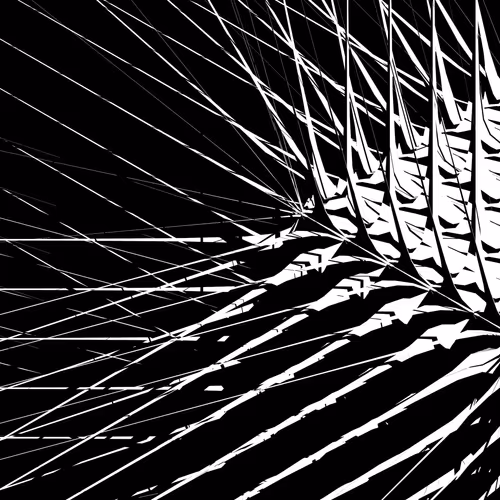 Meaning Within The Static