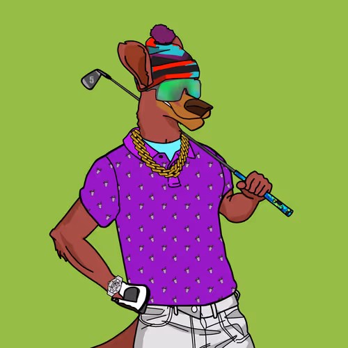 Thekangaroocountryclub