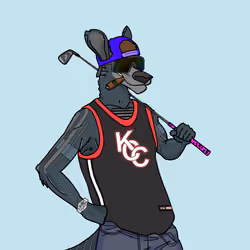 Kangaroo Country Club #72