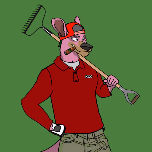 Thekangaroocountryclub