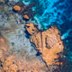 Hibiscus Coast V2