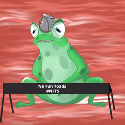 No Fun Toad #1965