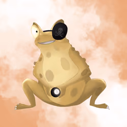 No Fun Toad #1029