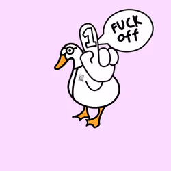 523