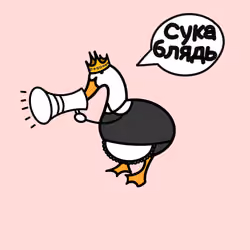 G-Drake