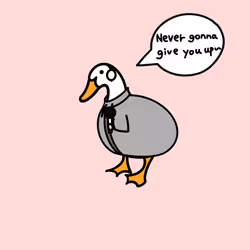 2425