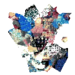 Item Media