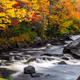 Autumn Effects