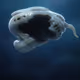 Airborne Arcana
