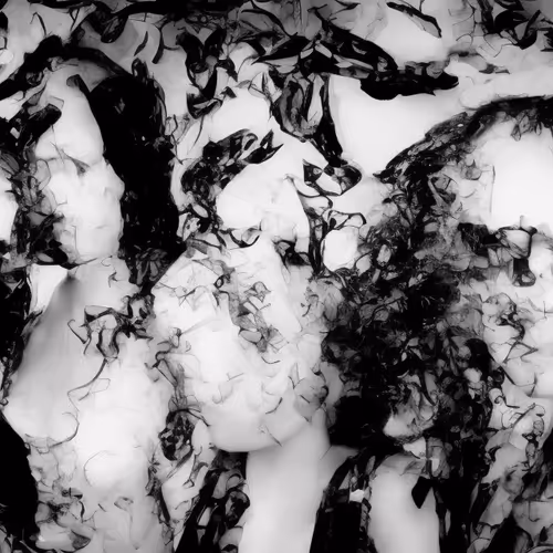 Distorted Beauty