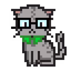 Cat #417