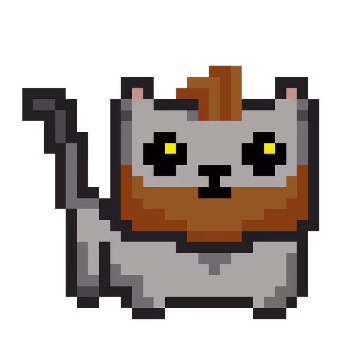 Cat #6